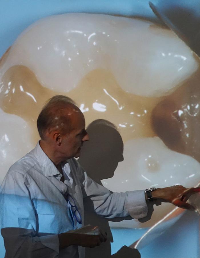 Posterior Bio-Esthetic Restorations: Bio-mechanics and functional concepts in synergy